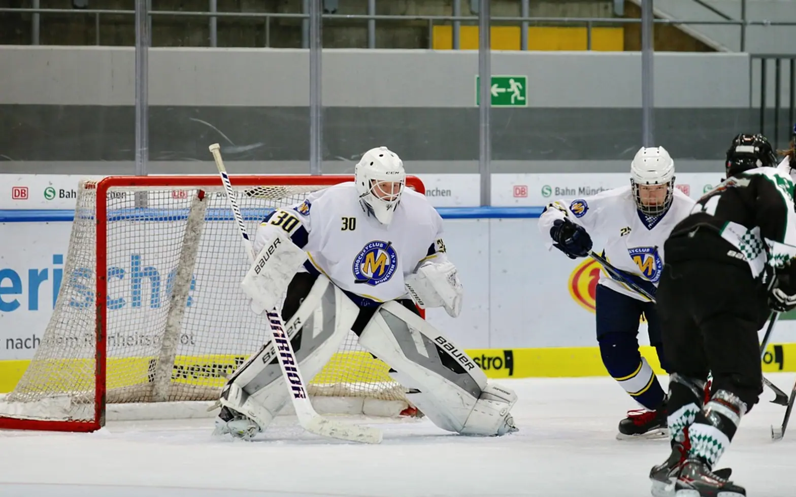 Ice hockey, sports and team