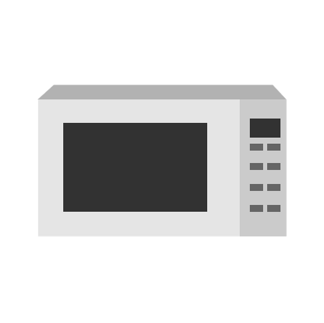 Ideal Microwave for the Perfect Space