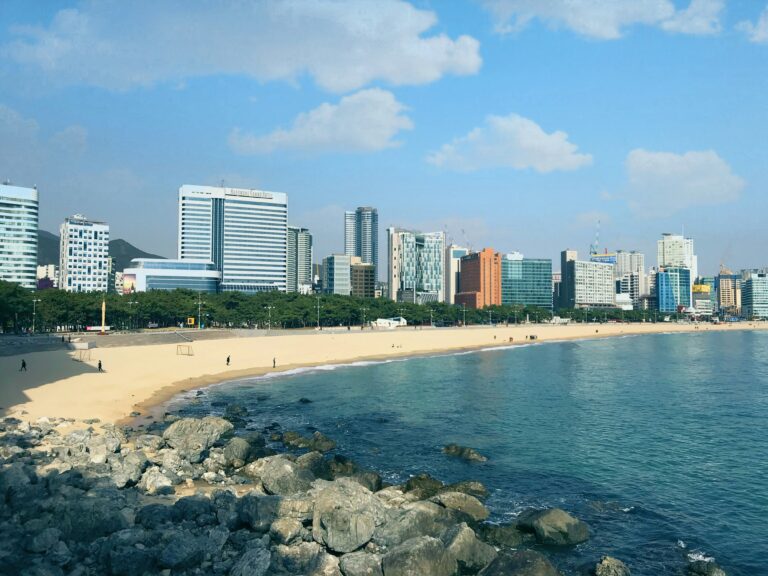 Discovering Busan: Historical Landmarks and Nightlife Combined